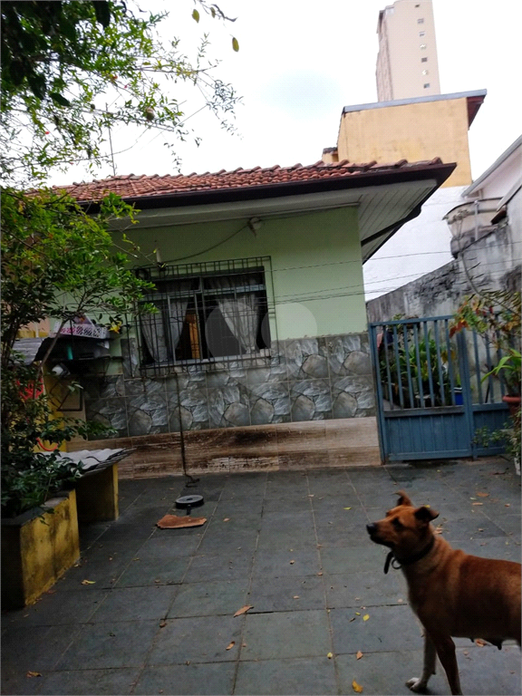 Venda Casa térrea São Paulo Vila Constança REO507629 6