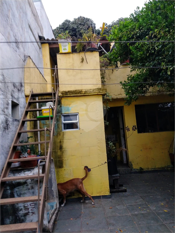 Venda Casa térrea São Paulo Vila Constança REO507629 19