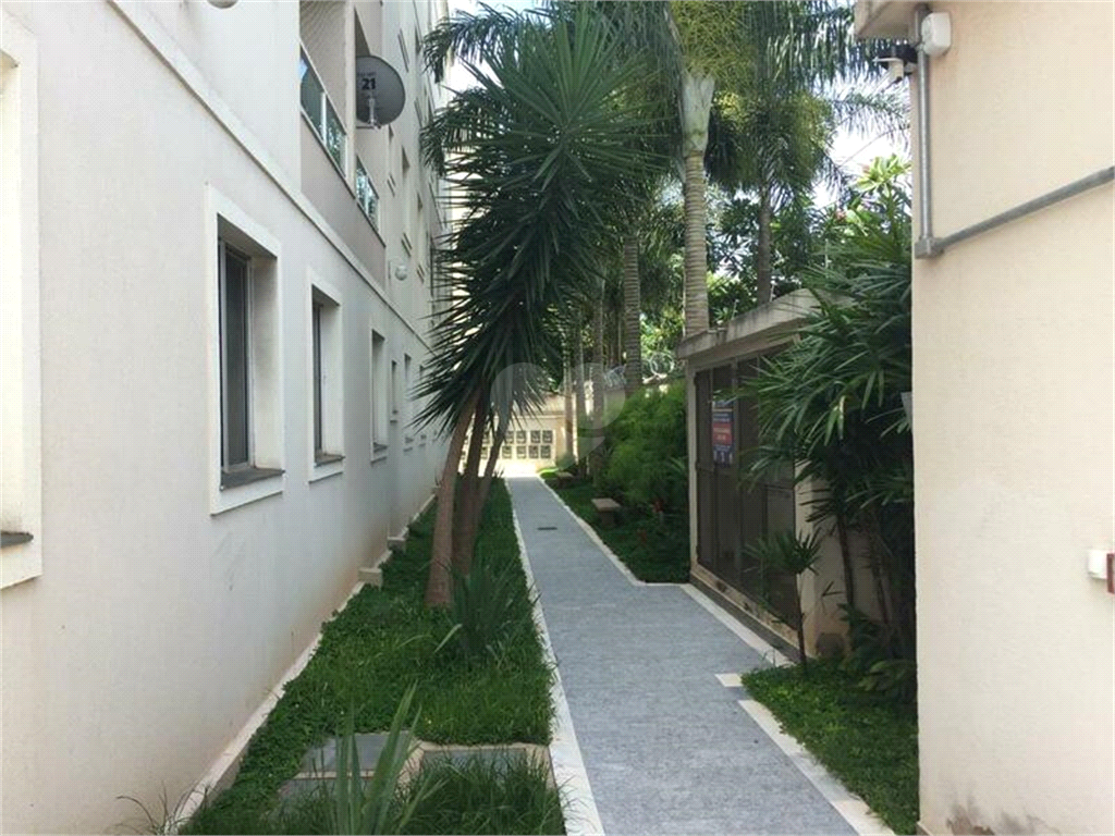 Venda Apartamento Uberlândia Morada Da Colina REO507673 13