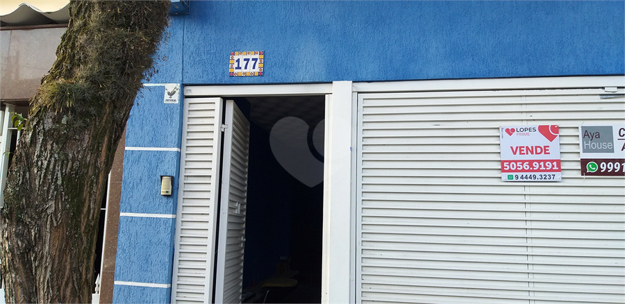 Foto REO507697