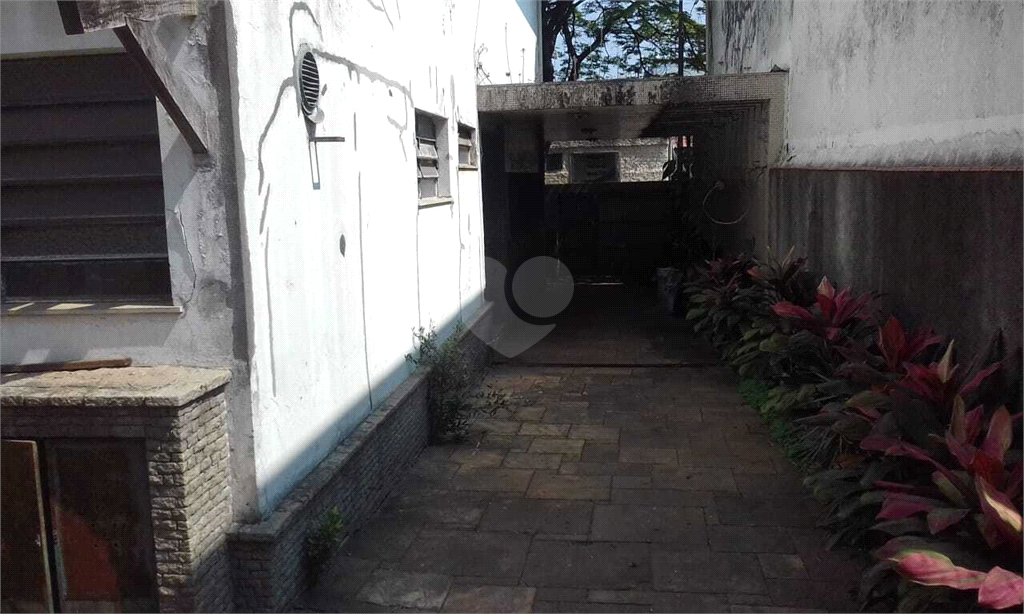 Venda Casa São Paulo Jardim Novo Mundo REO508293 16