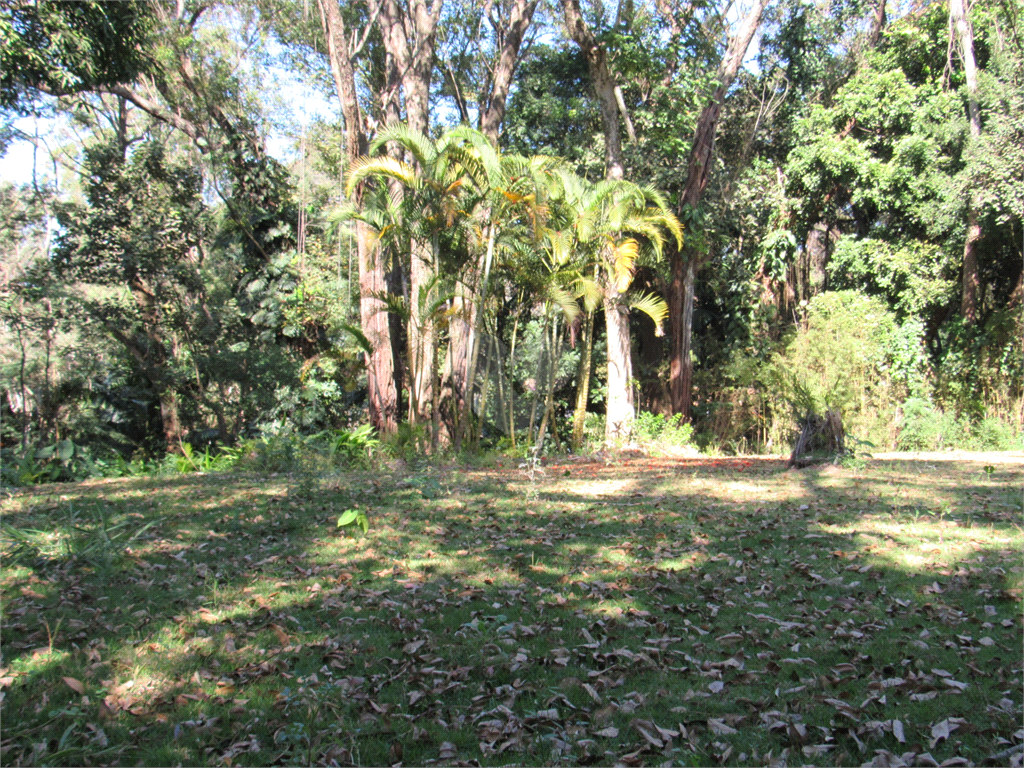 Venda Terreno São Paulo Jardim Dos Estados REO508331 14