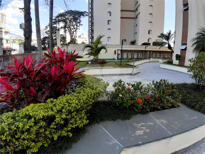Foto REO508335