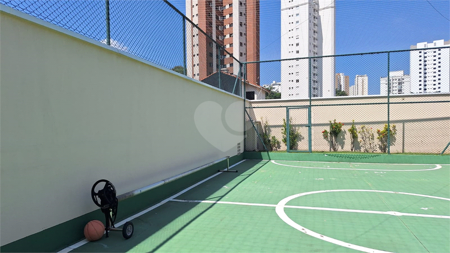 Foto REO508867