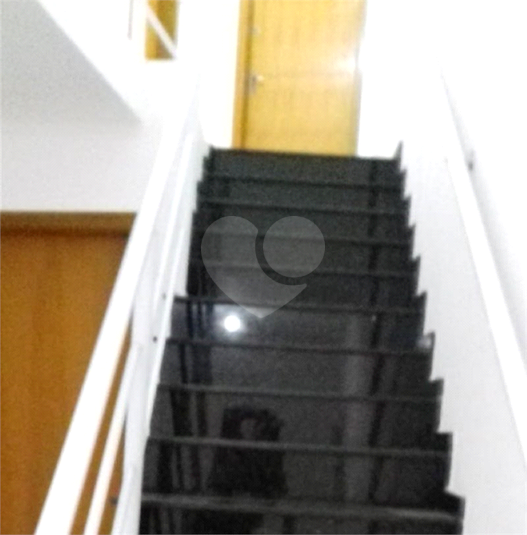 Foto REO509169