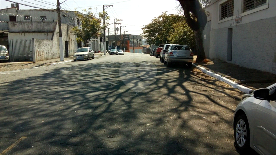 Foto REO509309