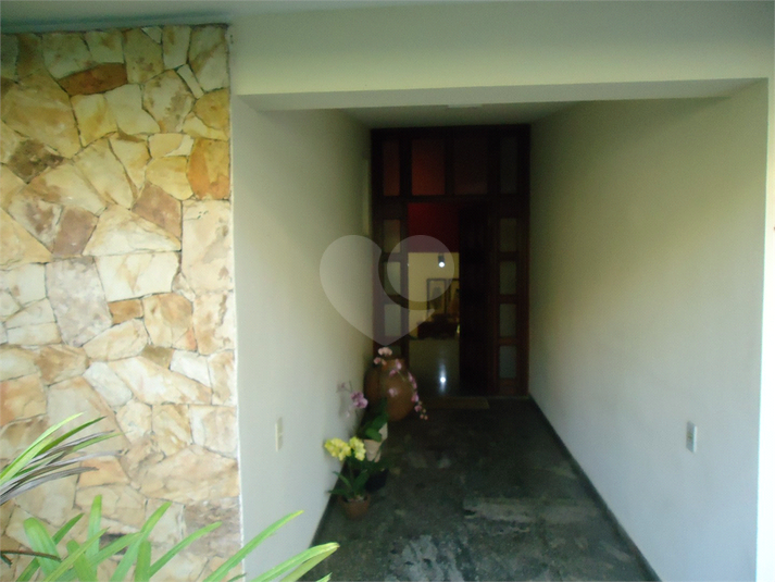 Foto REO509652