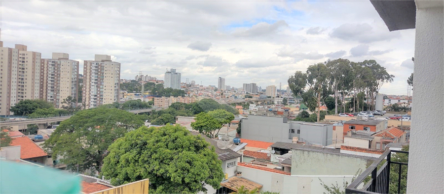 Foto REO510264