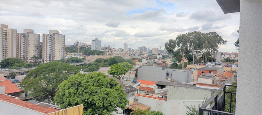 Foto REO510264