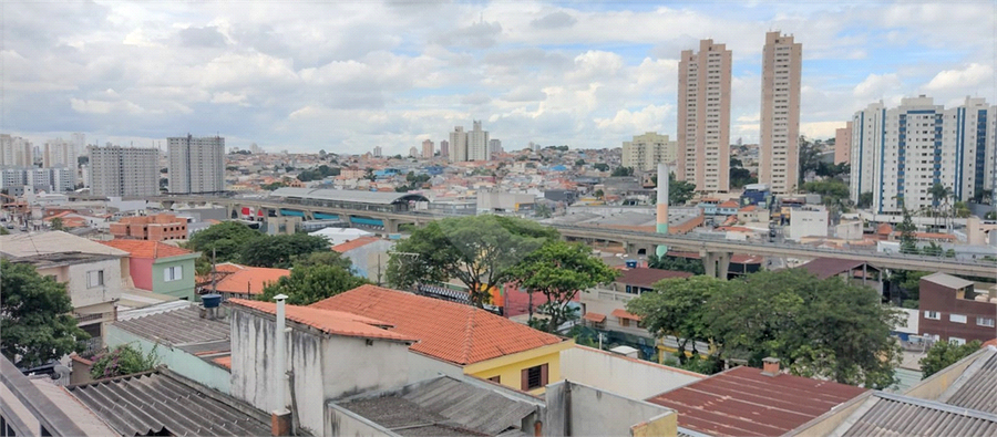 Foto REO510264