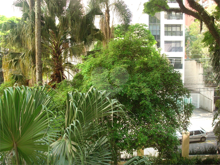 Foto REO510374