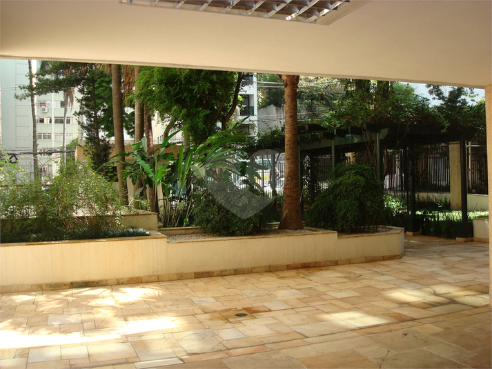 Foto REO510374