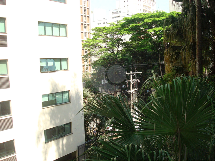 Foto REO510374