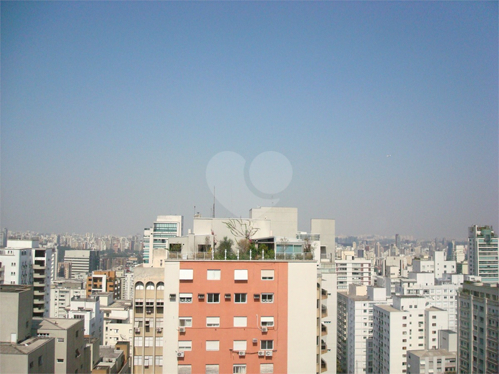 Foto REO510374