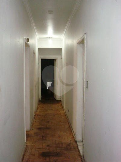 Foto REO510374
