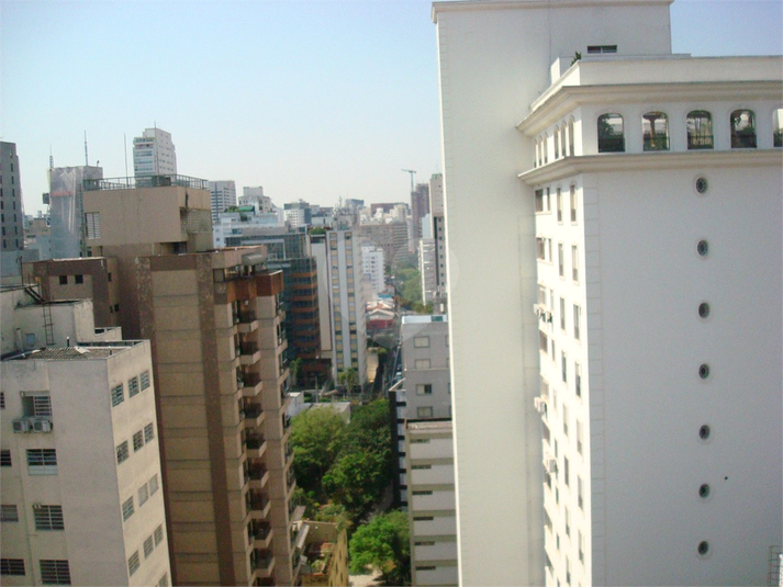 Foto REO510374