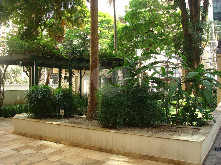 Foto REO510374