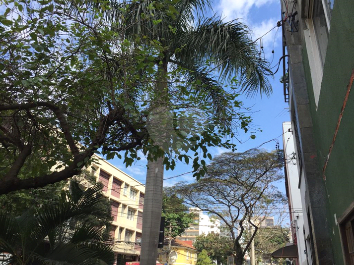 Foto REO510498