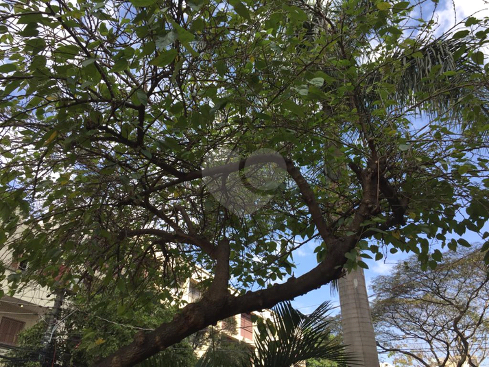 Foto REO510498
