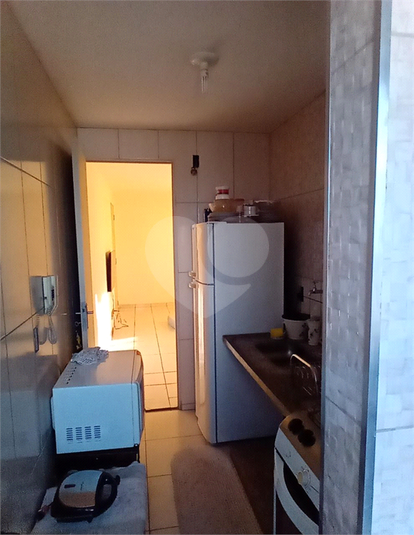 Venda Apartamento São Paulo Jardim Francisco Mendes REO510616 5