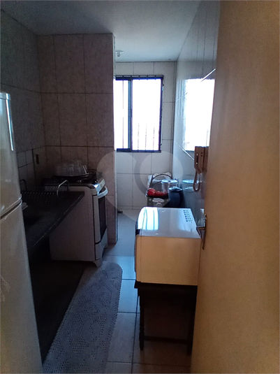 Venda Apartamento São Paulo Jardim Francisco Mendes REO510616 7