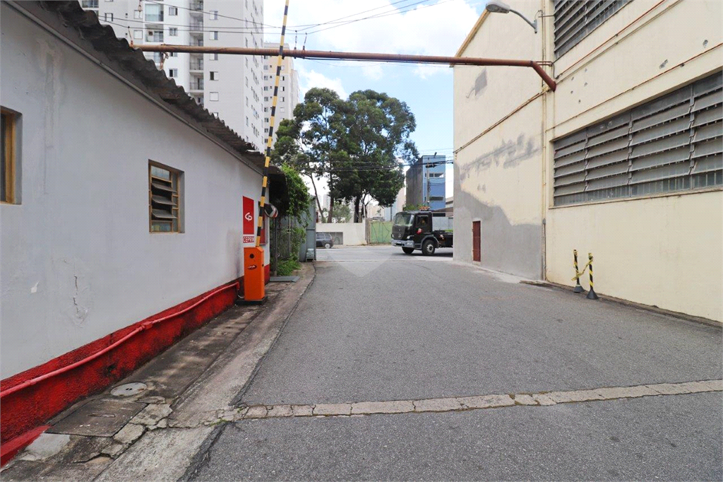 Aluguel Galpão São Paulo Lapa De Baixo REO510619 4