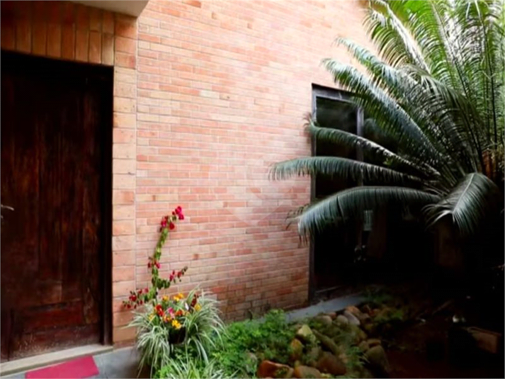 Foto REO510833