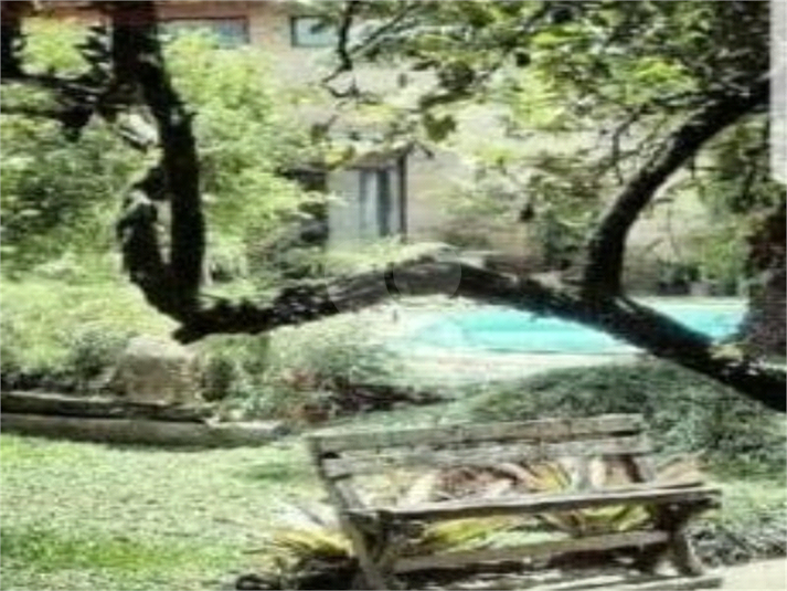 Foto REO510833