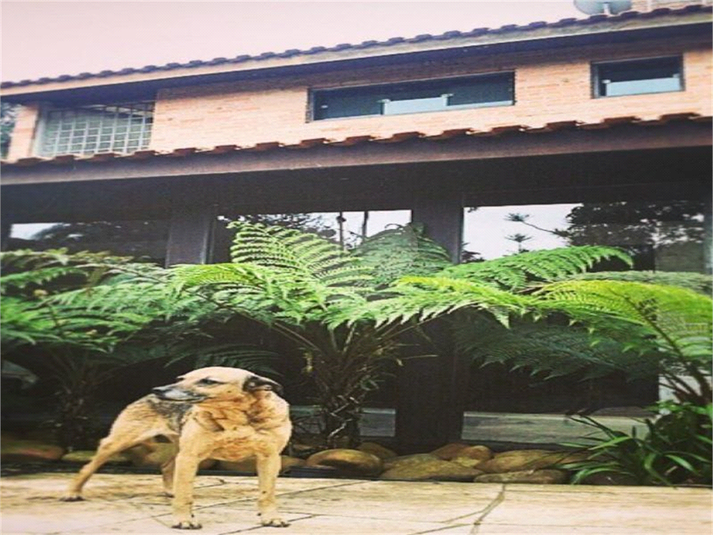 Foto REO510833