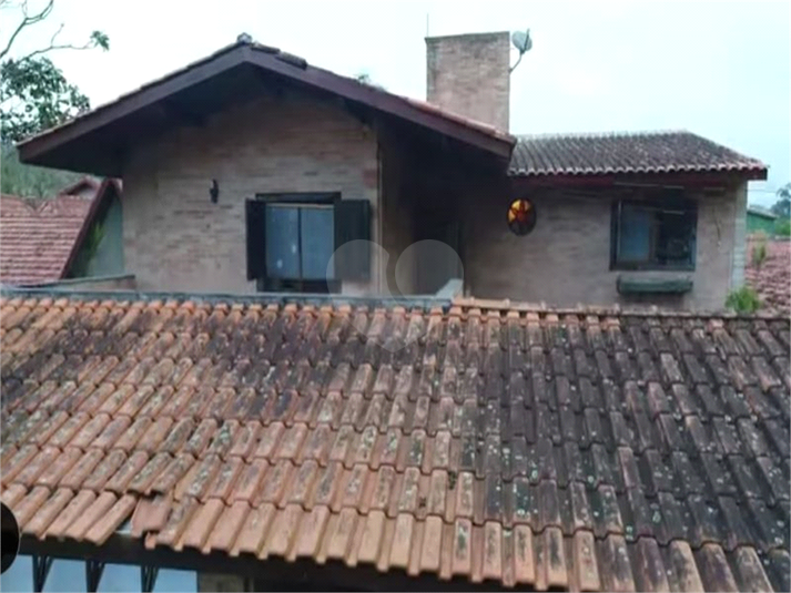 Foto REO510833