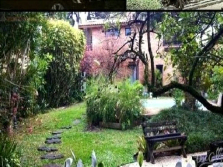 Foto REO510833