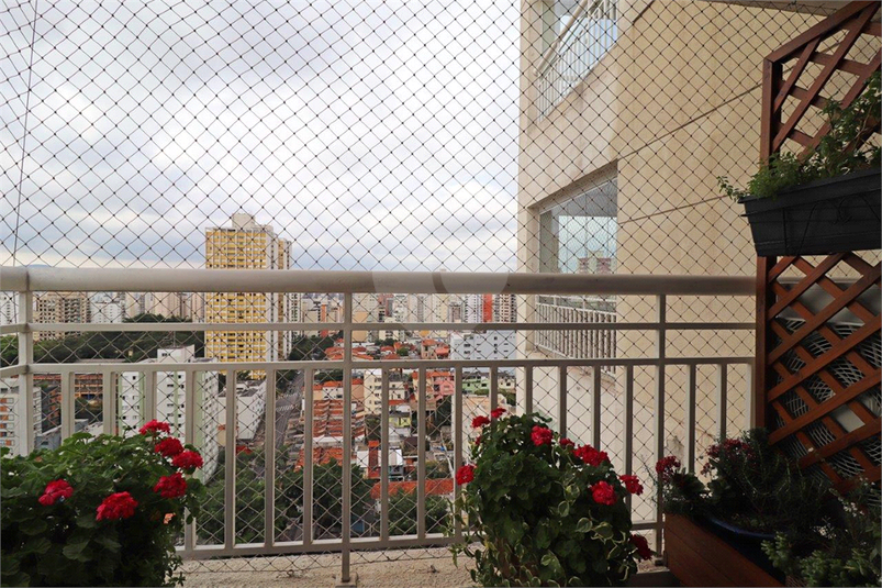 Foto REO510841