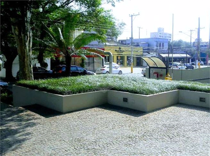 Foto REO510947