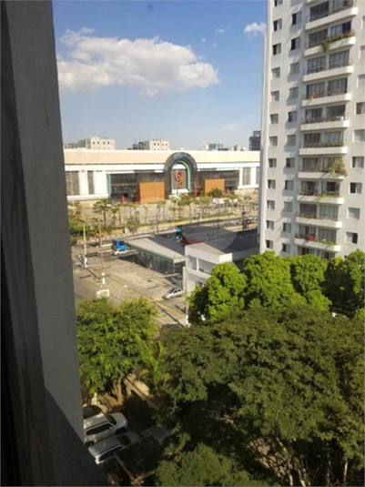 Foto REO510947