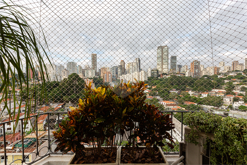 Foto REO510973