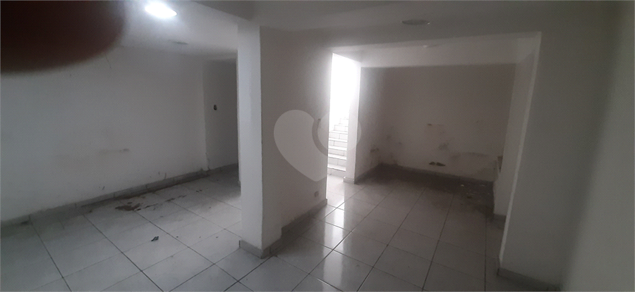 Foto REO511260
