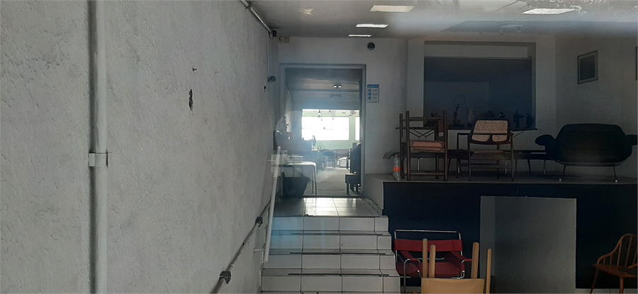 Foto REO511260
