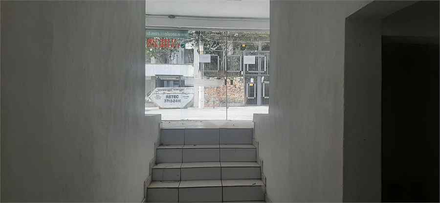 Foto REO511260