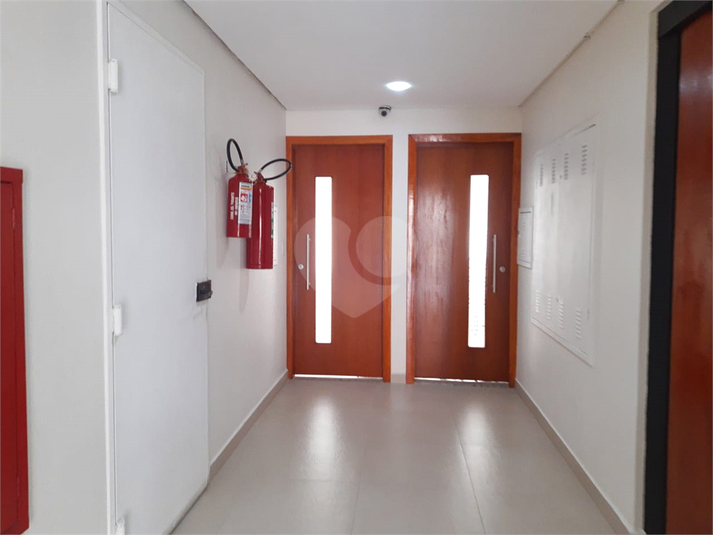 Foto REO511290