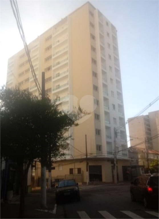 Venda Apartamento São Paulo Cambuci REO511314 15