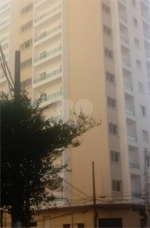 Venda Apartamento São Paulo Cambuci REO511314 14