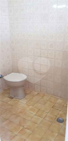 Foto REO511532