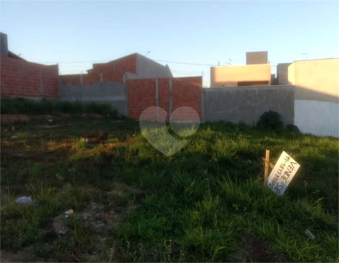 Foto REO511554