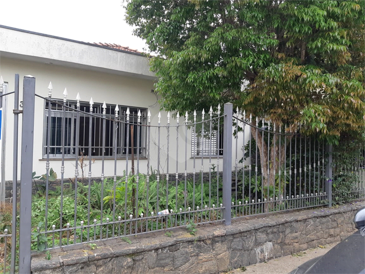 Foto REO512093