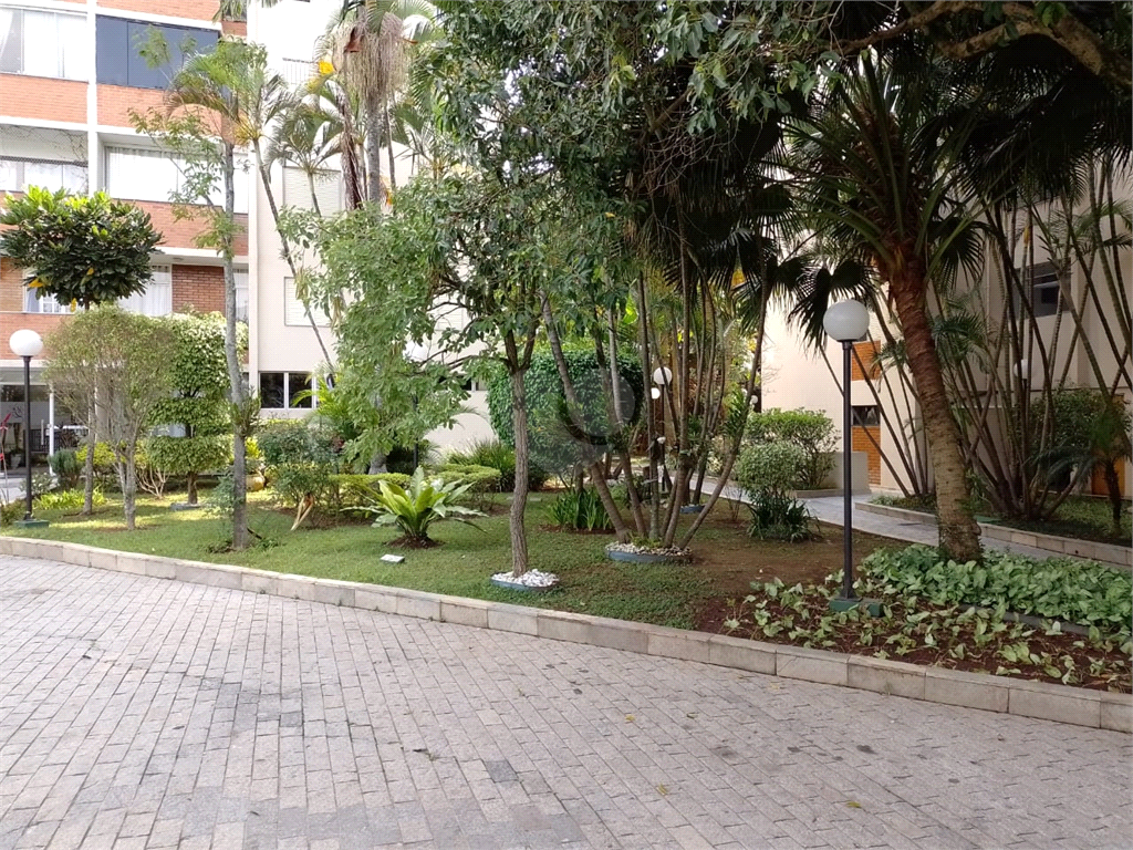 Venda Apartamento São Paulo Barro Branco (zona Norte) REO512441 10