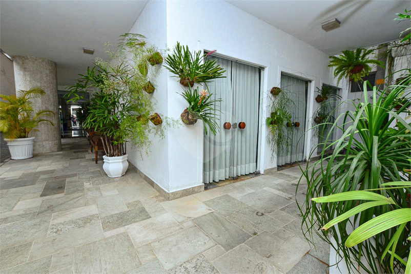 Foto REO512476
