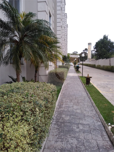 Foto REO512558