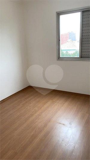 Foto REO512886