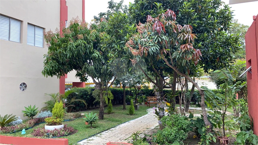Foto REO512886