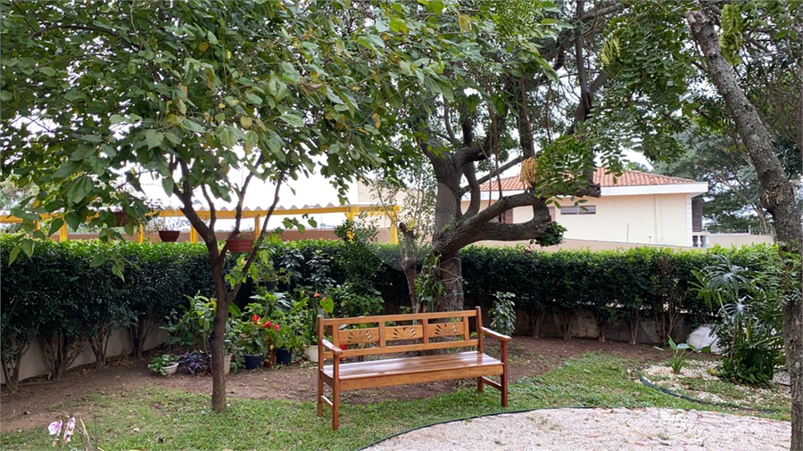 Foto REO512886